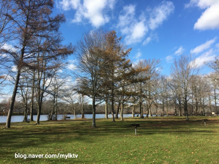  뉴욕 주립공원: 롱아일랜드 Belmont Lake State Park: 백조의 호수