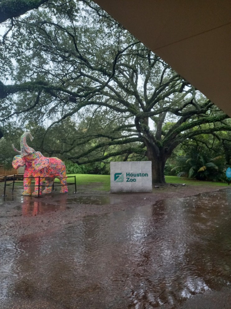  Houston zoo 휴스턴 동물원 후기 미국일상 20201127