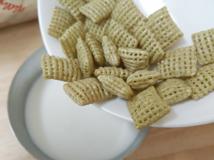  첵스 파맛과 대파 키우기 세트 후기 상상도 하기 싫은 맛