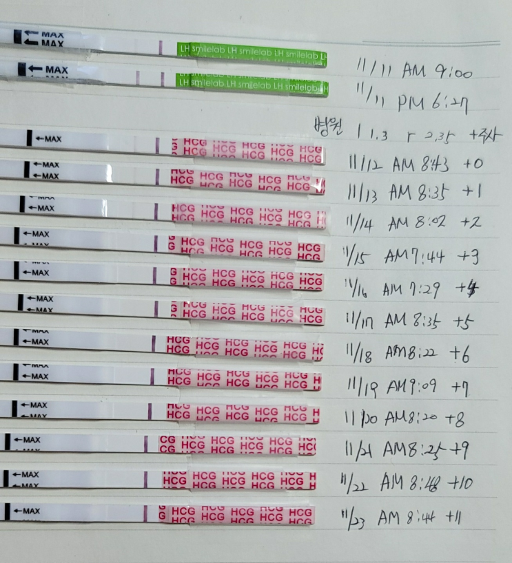  여섯번째 시도! 생리 2일차, 지난 주기 톺아보기