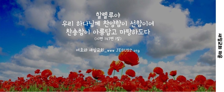 새일교회 | 택한 종에게 되는 일 새일교회 | 택한 종에게 되는 일