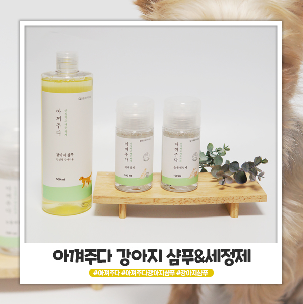 아껴주다 요크셔테리어 샴푸 순해서 믿고 쓸 수 있어요 아껴주다 요크셔테리어 샴푸 순해서 믿고 쓸 수 있어요