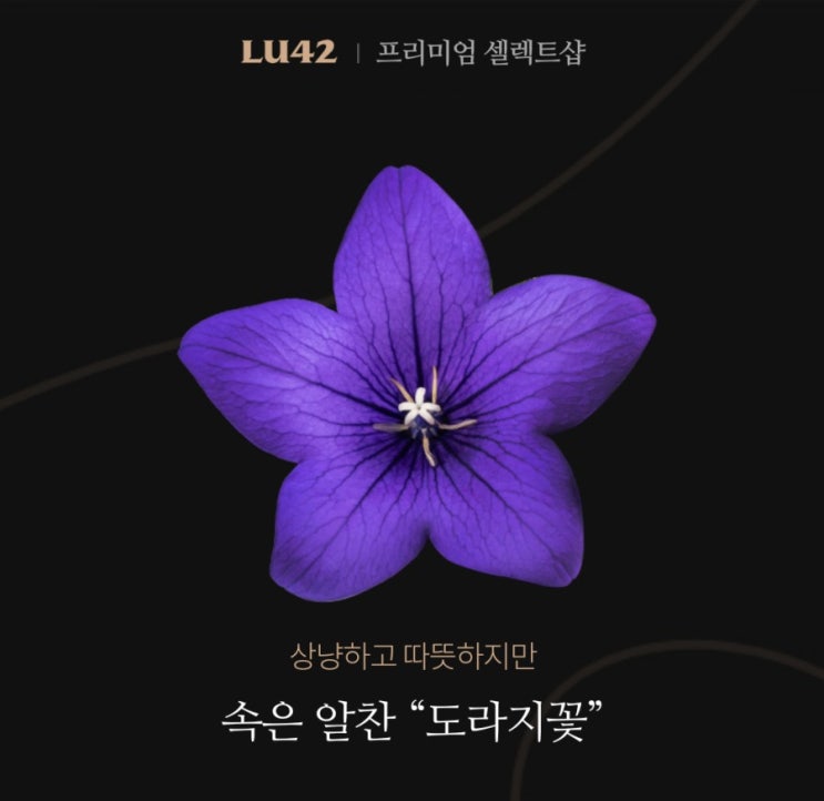  꽃으로 확인 하는 MBTI 성격 유형 테스트