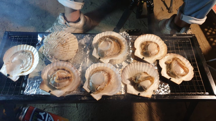  20.10.13~14 [양양 죽도해변] 캠핑