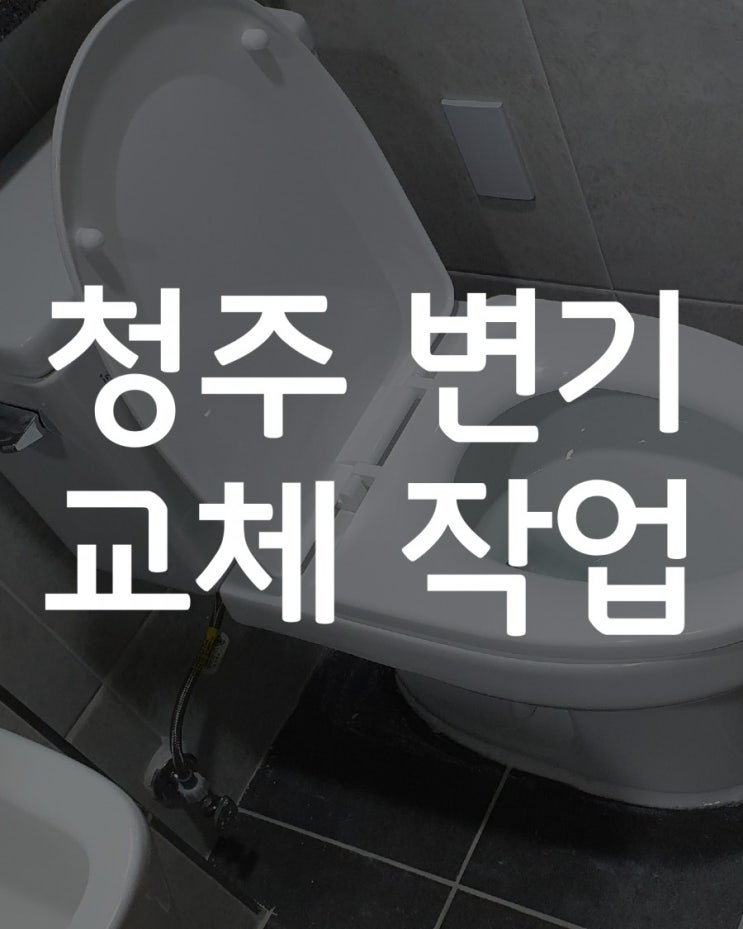  청주 변기 교체 업체(내수 두리안 아파트)