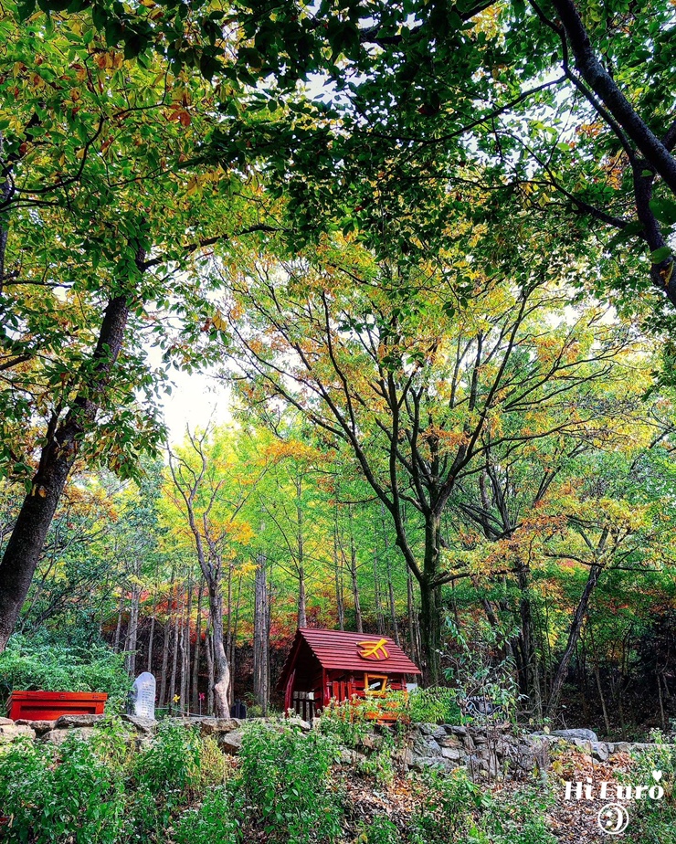 성남시 남한산성공원 유아 숲체험 놀이터