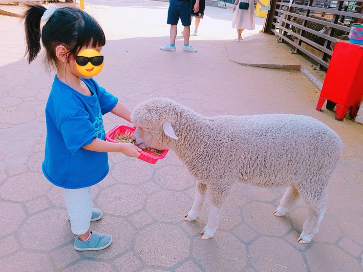  안성 팜랜드 * 안성 / 천안&아산 인근