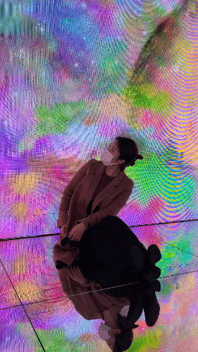  해운대 뮤지엄다, 수퍼네이처 전시회 상세후기