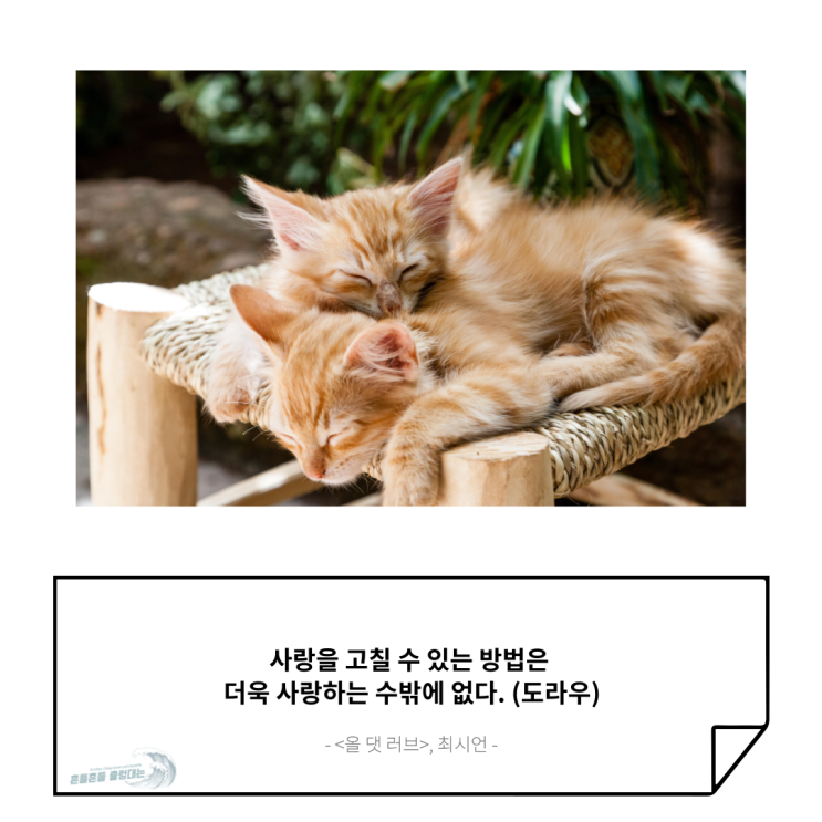  [좋은 글] 사랑이 전부인 그대에게
