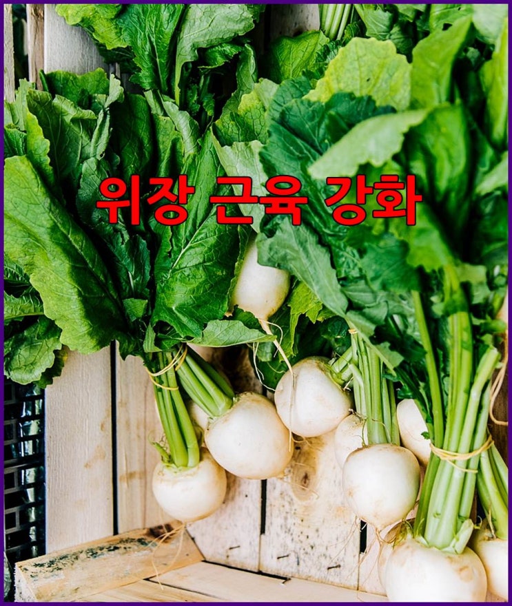  위암 안 걸리는 법!