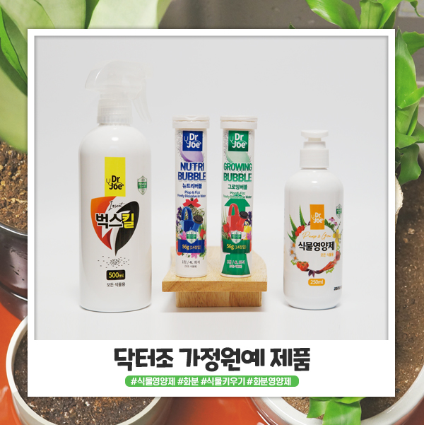 닥터조 가정원예 제품 4종세트로 간편한 식물키우기 닥터조 가정원예 제품 4종세트로 간편한 식물키우기