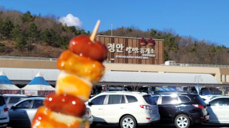 정안알밤휴게소 모듬꼬치