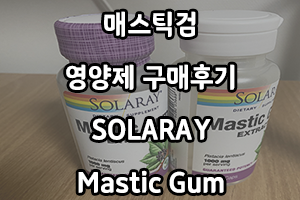 매스틱검 영양제 구매후기 (SOLARAY Mastic Gum)