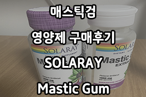  매스틱검 영양제 구매후기 (SOLARAY Mastic Gum)