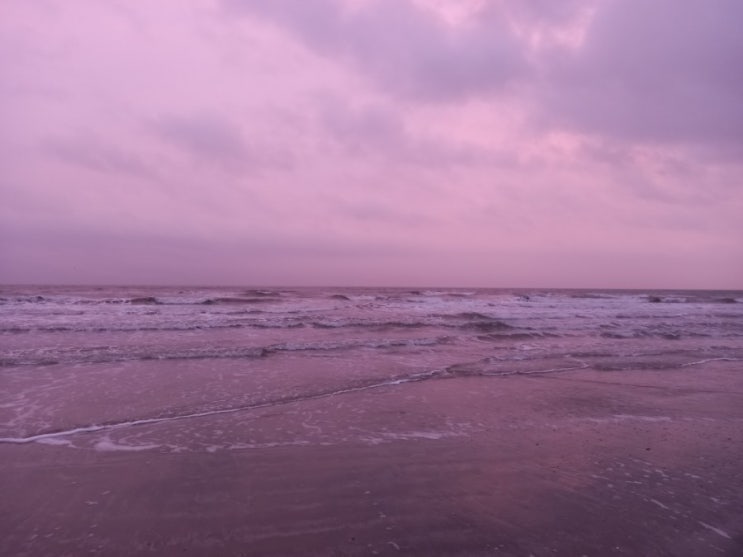 갈베스톤 해변가 c 핑크빛 하늘을 보다!