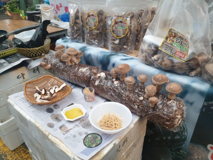 [단양 가볼만한곳] 단양 구경시장 맛집 충청도 순대 송화버섯