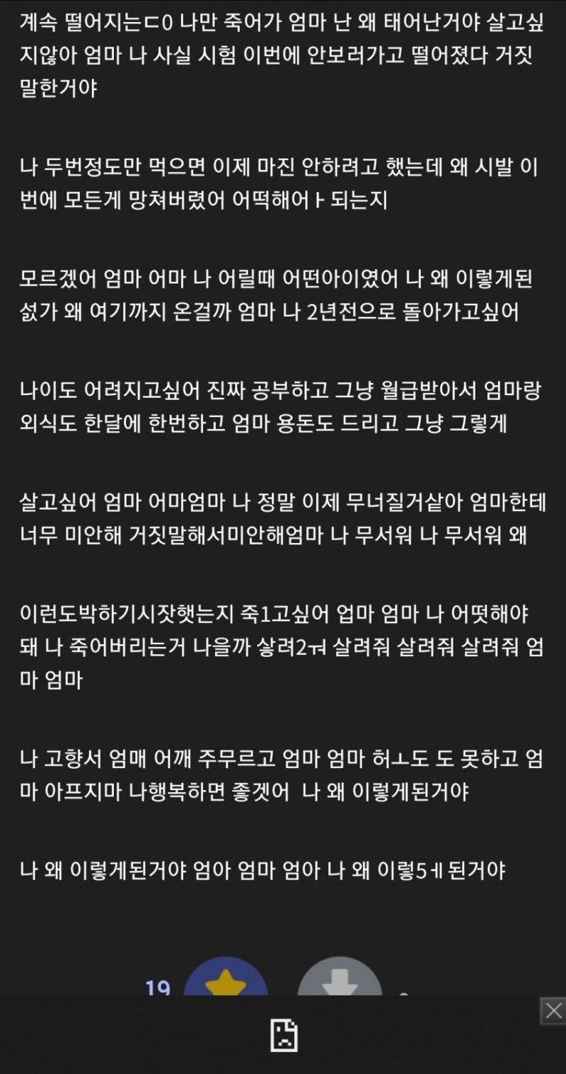 요즘 비명밖에 없는 코인갤러리 : 네이버 블로그