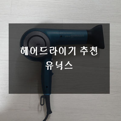  유닉스 전문가용 헤어드라이기 추천 UN-A170