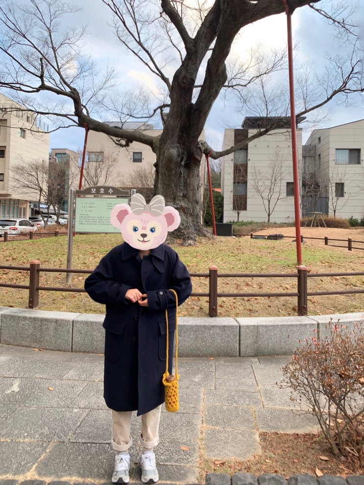  어나더오피스 발마칸 코트 구매후기 사이즈 착샷