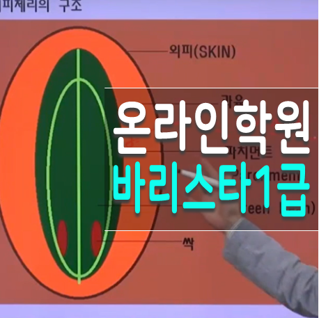  한국인재능력개발원 바리스타 1급 국비지원 학원 알아보자
