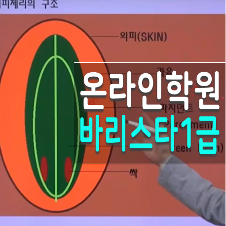 한국인재능력개발원 바리스타 1급 국비지원 학원 알아보자