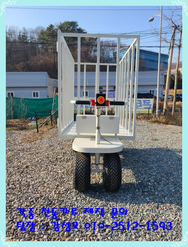  전동카트 전문 기업[ECM] 강남 연세 세브란스병원