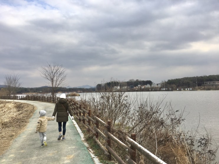 비대면 나들이, 이천 성호호수 연꽃둘레길, 성호저수지 수변 산책길~