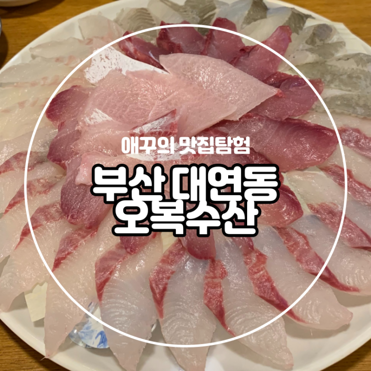  [부산 대연동] 경성대부경대 횟집 추천 오복수산에서 만난 쫀득한 방어회 :0