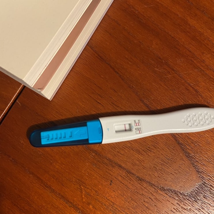  배란일 +7일의 기록