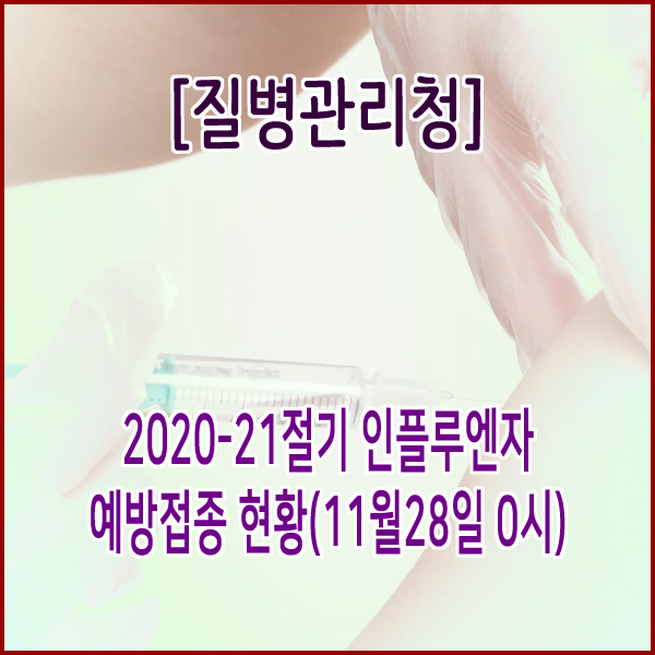 [질병관리청] 2020-21절기 인플루엔자 예방접종 현황(11월28일 0시)