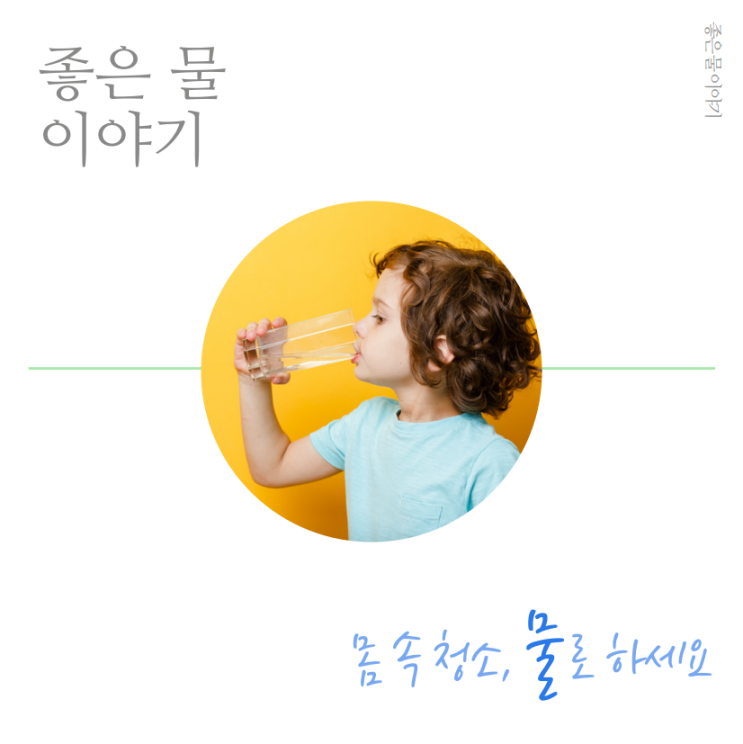  좋은 물 이야기 – 몸 속 청소, 물로 하세요!(암웨이 정수기 이스프링)