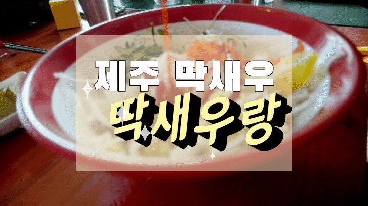  제주 딱새우 딱새우랑에서 딱새우회덮밥 먹은 후기!