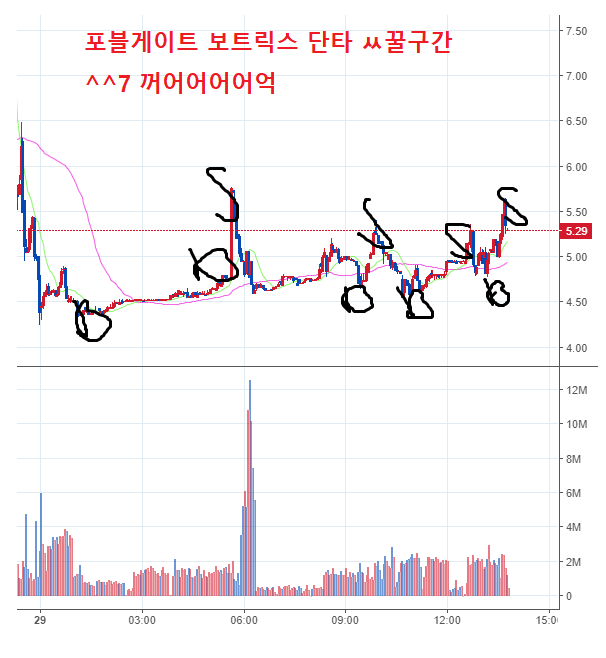 보트릭스 포블게이트 거래소 매매 일지