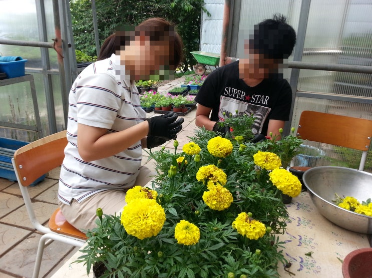  잡초 제거 작업 수업