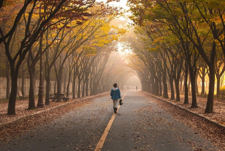  계약전 장해상태, 모두가 선의이면 상법상 유효이더라도 약관상 면책이며 설명의무 위반시 부책인지 여부