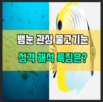  뱀눈 관상 물고기눈 연예인 테스트 성격 해석하기