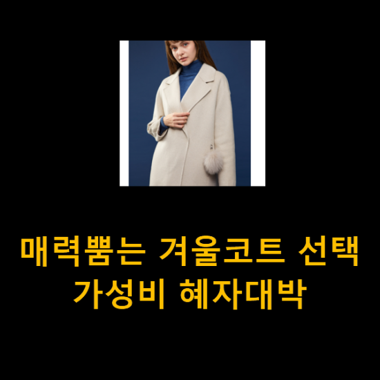 매력뿜는 겨울코트 선택 가성비 혜자대박 매력뿜는 겨울코트 선택 가성비 혜자대박