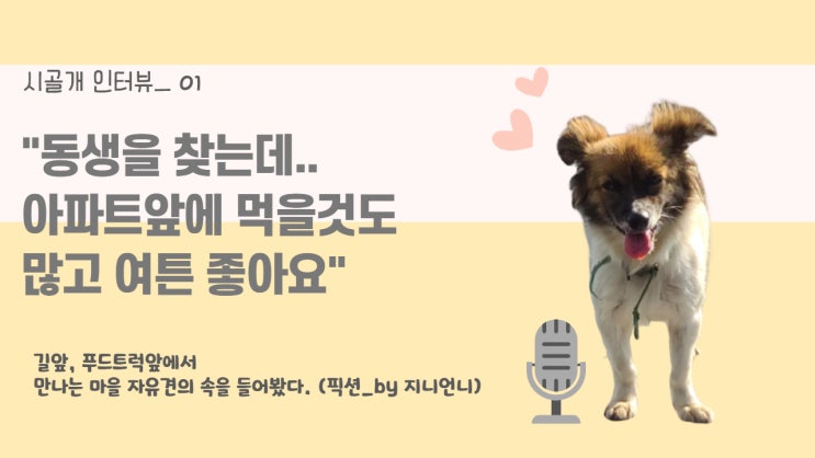  글꽃) 시골 자유견- 마을 개지도(인터뷰) . 시골개 인터뷰