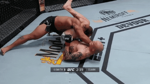 UFC 베가스 15: 스미스 vs 클락 리뷰(GIF): 탑 10은 증명한 스미스