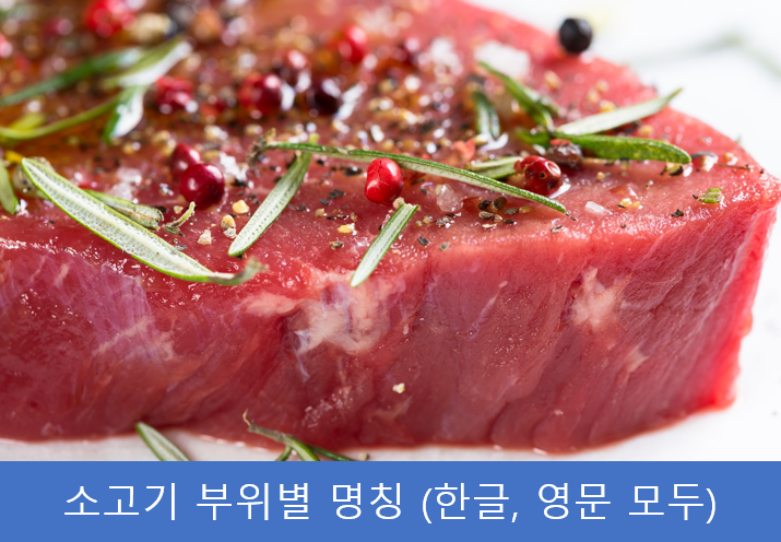 소고기 부위별 명칭 정리 (한국어 + 영어로 모두) 소고기 부위별 명칭 정리 (한국어 + 영어로 모두)