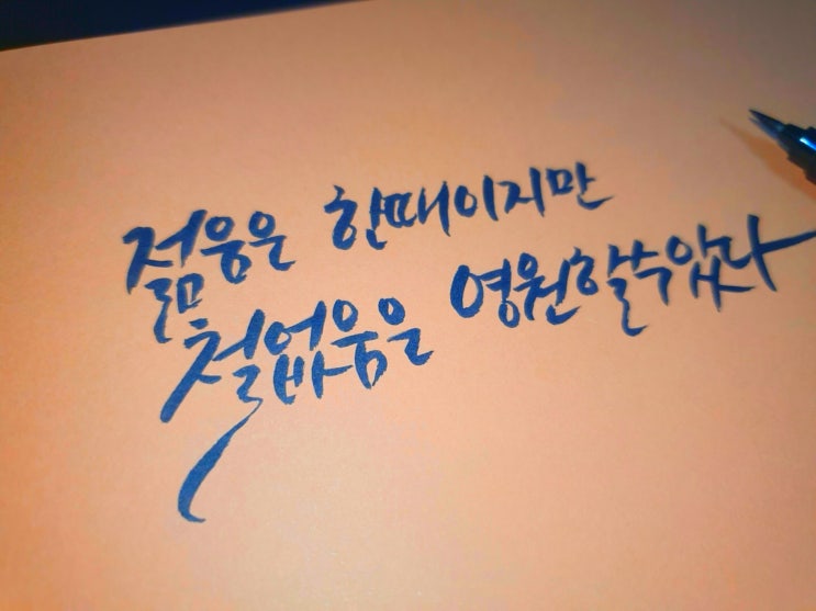  2020.11.29 오늘의 명언 모음