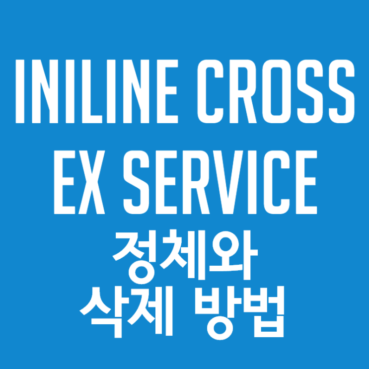  INILINE CROSS EX SERVICE 악성코드인가? 바이러스인가? 지워도 되는건가?