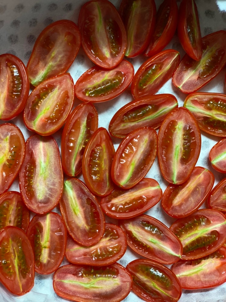  썬드라이토마토 자연건조 에어프라이어