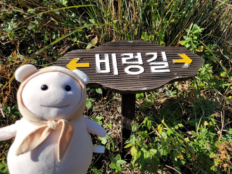  여수 금오도 비렁길 3코스(직포-학동코스)