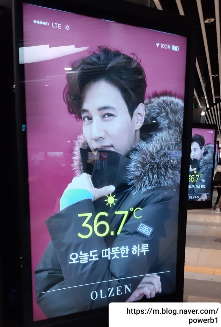  올젠뉴테라 푸퍼 숏다운 구스다운 신상출시