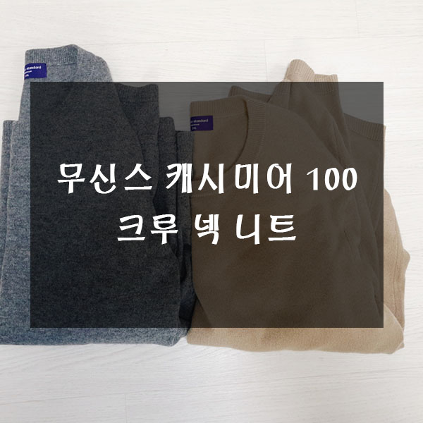  무신사에서 구매한 남자 캐시미어 100 크루 넥 니트(베이지, 미디엄 그레이) 후기