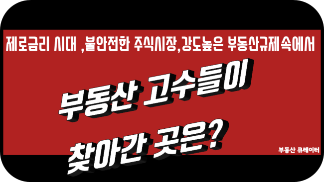 부동산 고수들이 김포를 찾아간 까닭은? 김포 한강 듀클래스 투자법 탐방기