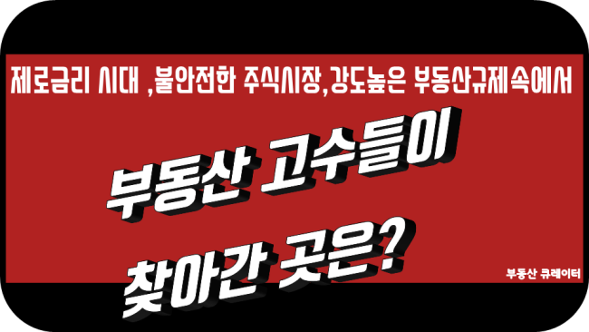  부동산 고수들이 김포를 찾아간 까닭은? 김포 한강 듀클래스 투자법 탐방기