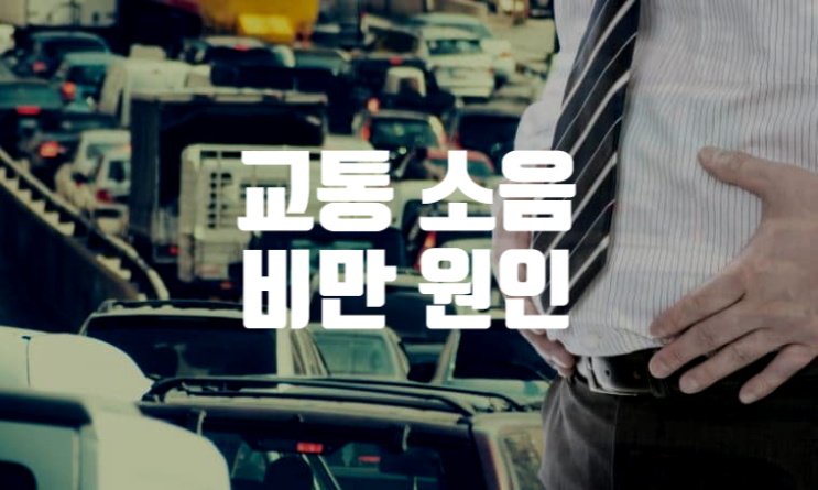  교통 소음 비만 연관성