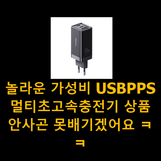 놀라운 가성비 USBPPS멀티초고속충전기 상품 안사곤 못배기겠어요 ㅋㅋ